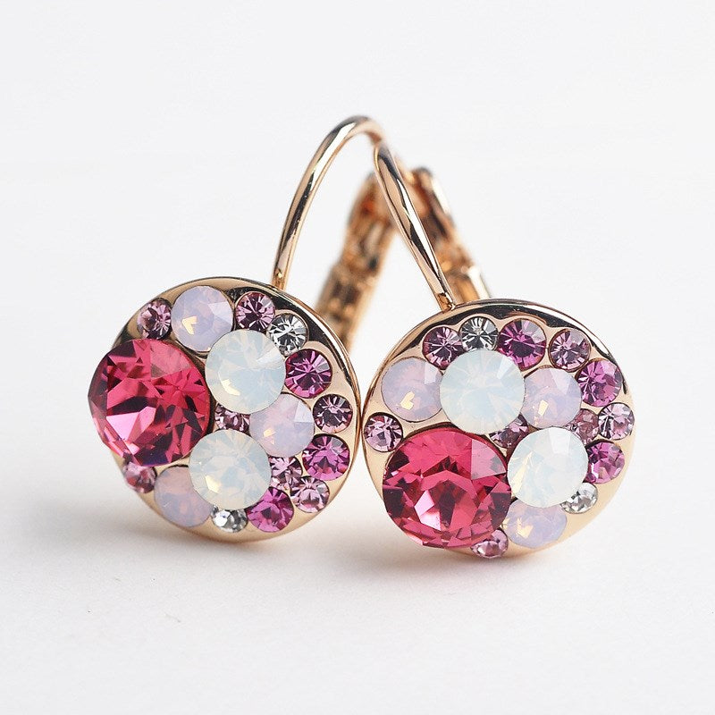 Elegant French Style Earrings