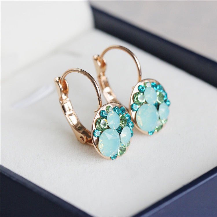 Elegant French Style Earrings
